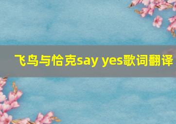 飞鸟与恰克say yes歌词翻译